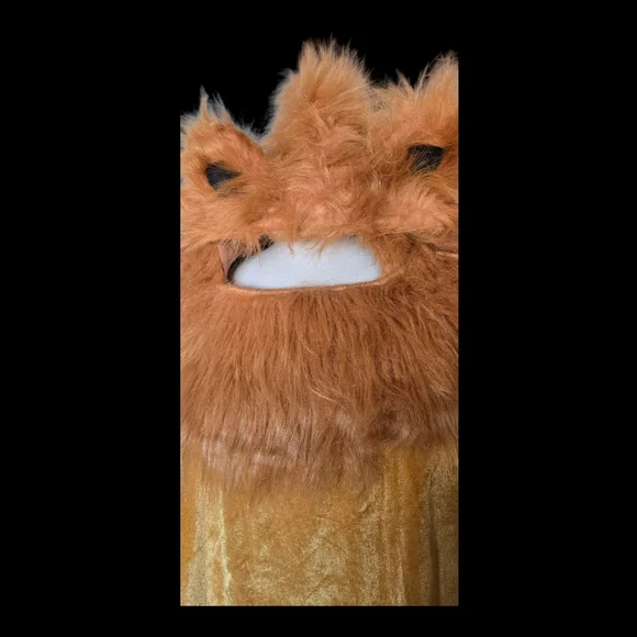 Adult Lion Costume - Tan and Gold - Picture 2 of 5
